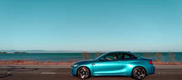 Casino Lion Slots Aip Android/iOS